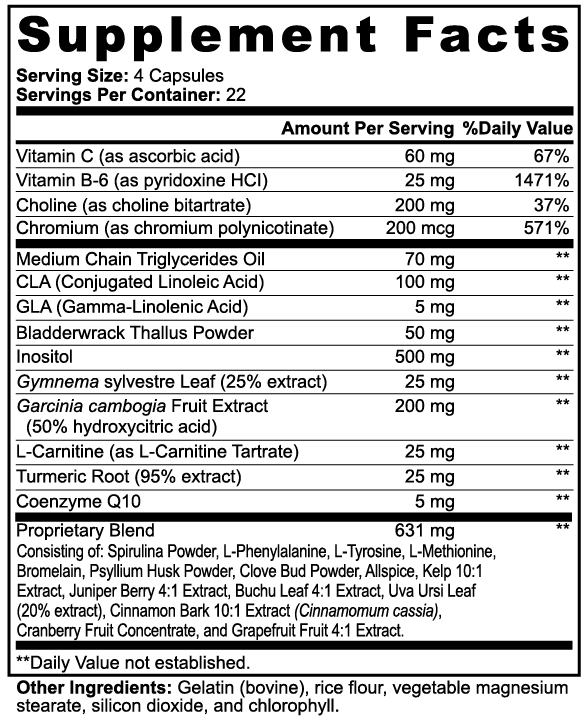 Supplement facts label for KasiBurn Fat Burner with MCT showing detailed ingredients and nutritional information