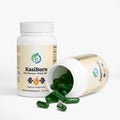 Kasivit KasiBurn Fat Burner with MCT - 90 Capsules