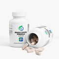 Nootropic Brain and Focus Formula