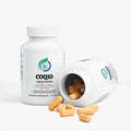Kasivit CoQ10 Supplement 200mg — Ubiquinone | 60 Capsules