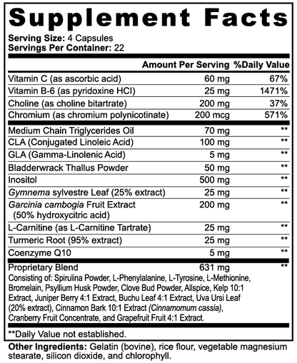 Supplement facts label for KasiBurn Fat Burner with MCT showing detailed ingredients and nutritional information